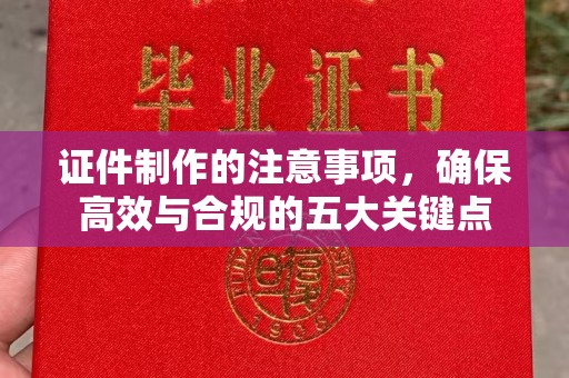 仁怀证件制作的注意事项，确保高效与合规的五大关键点